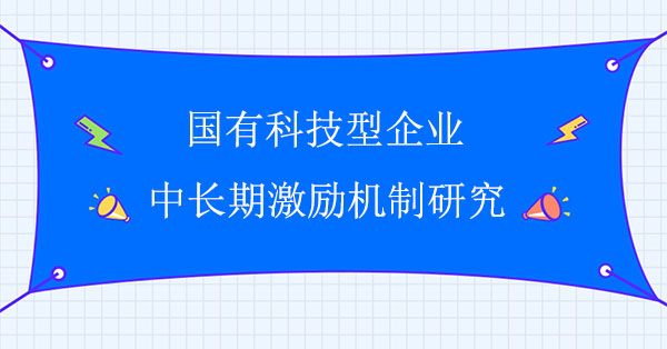 國(guó)有科技型企業(yè)中長(zhǎng)期激勵(lì)機(jī)制研究