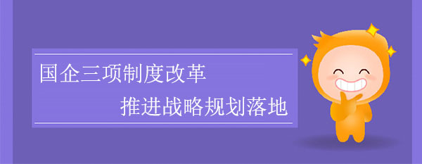 國企三項制度改革，推進戰(zhàn)略規(guī)劃落地